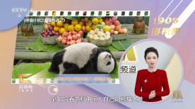 麻豆成人小视频